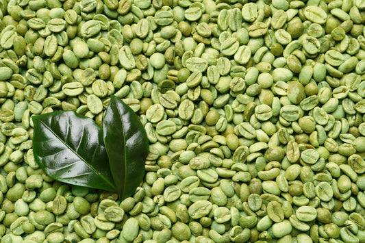 Green Coffee Bean Extract: A Natural Path to a Healthier Lifestyle