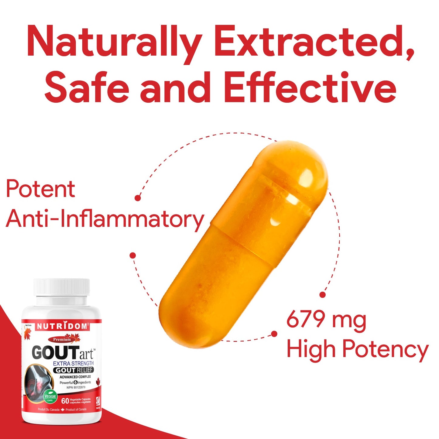 Nutridom GOUTart, Contains Tart Cherry, Curcumin, Celery Seed, Devil's Claw, Vitamin C and Bromelain (60 V-Capules)
