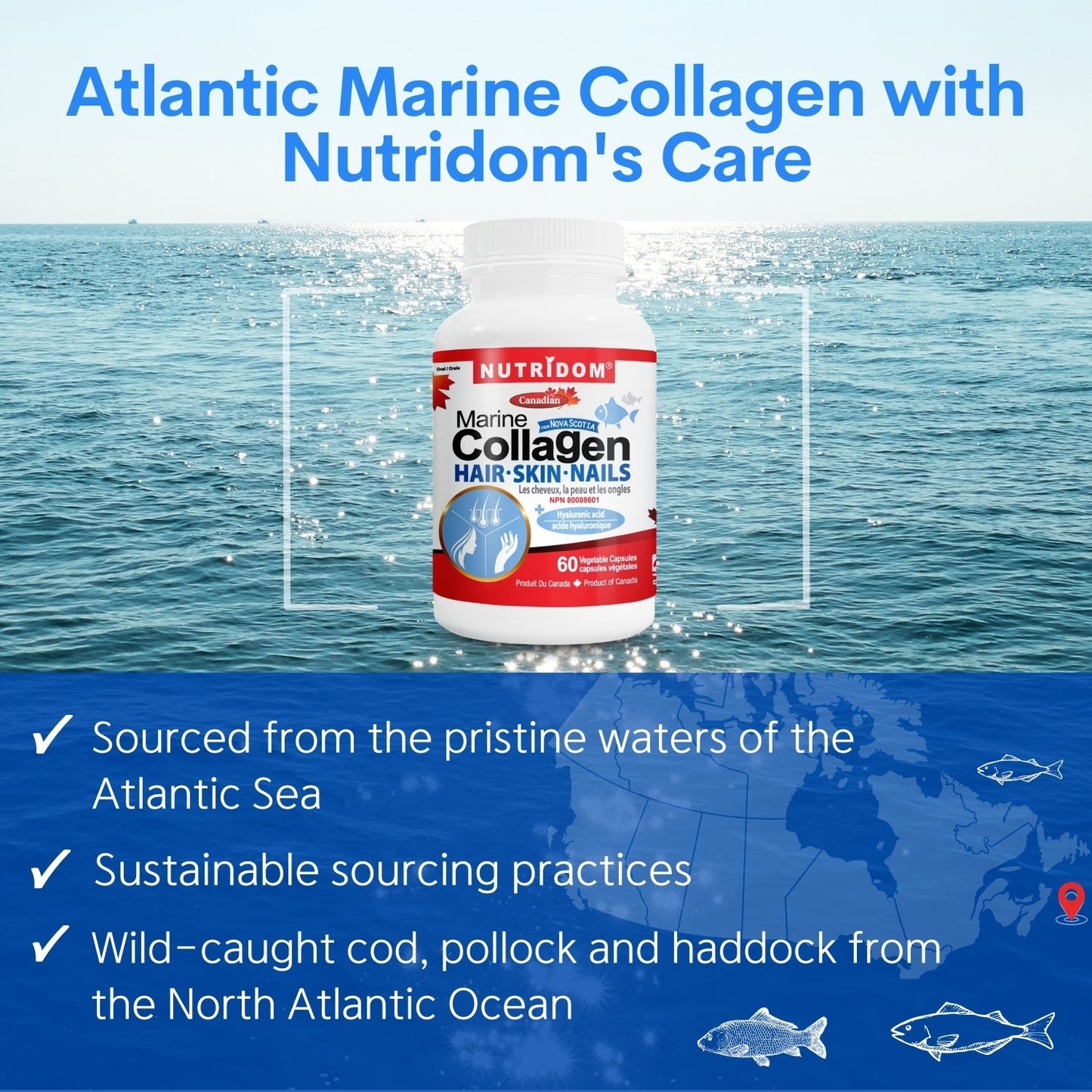 Nutridom Marine Collagen 600mg (60 Veggie Capsules), Featuring Hydrolyzed Fish Collagen, Hyaluronic acid, Vitamin C, Silicon & Biotin