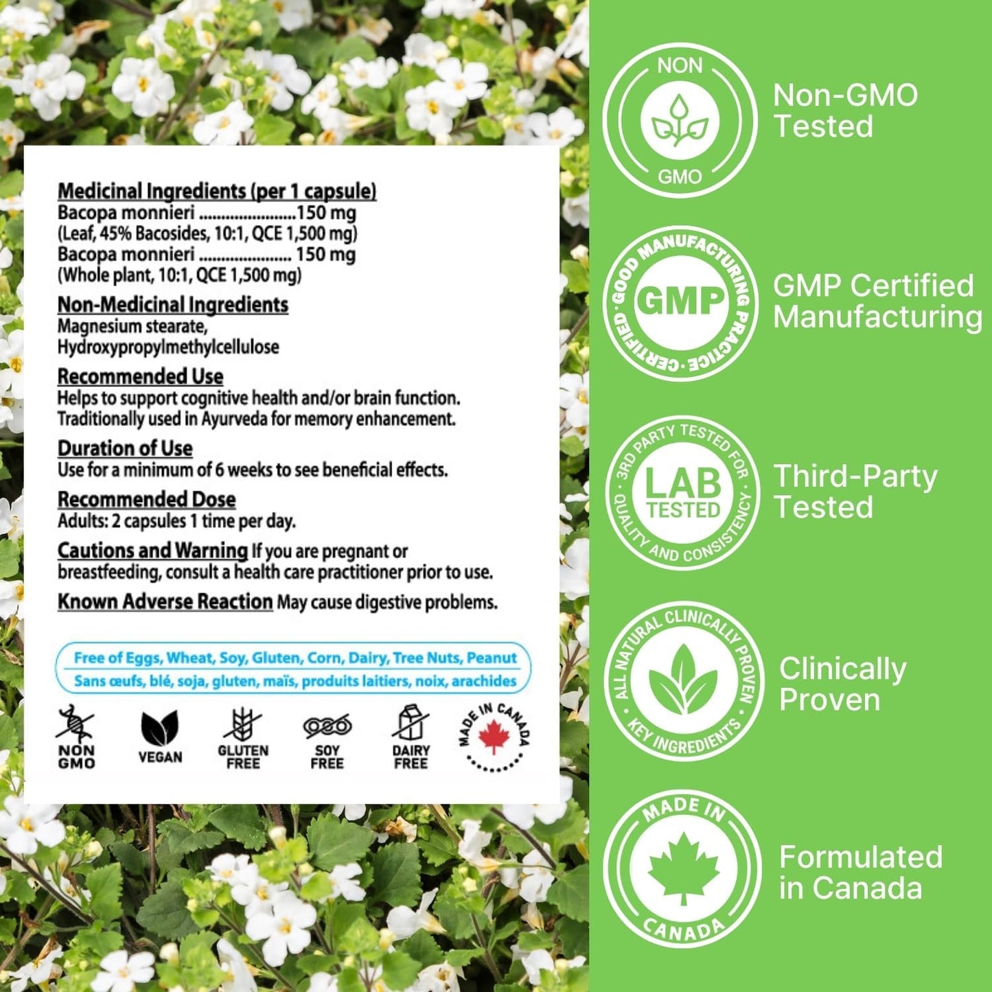 Nutridom Bacopa Monnieri 10x Extract, 300mg (3,000mg QCE)(60 Veggie Capsules)