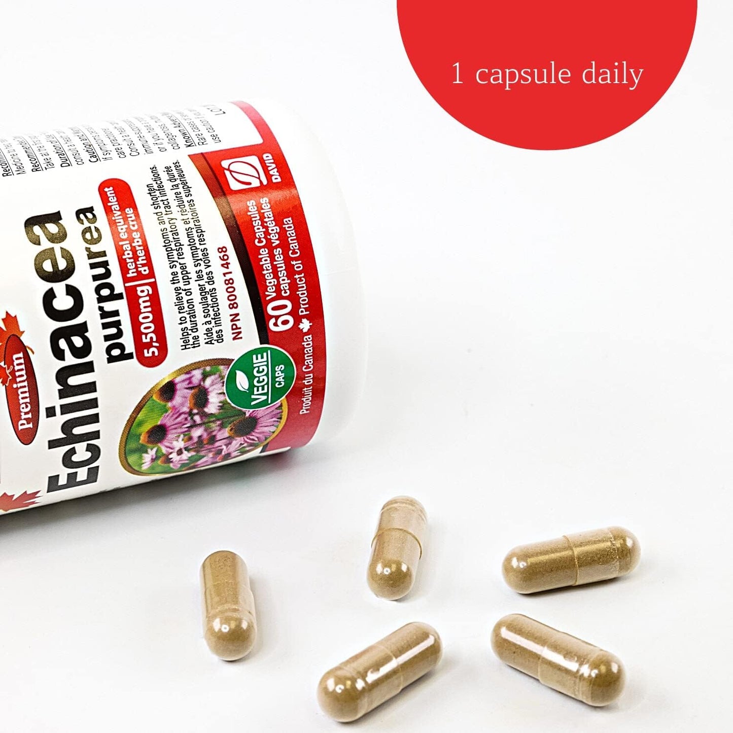 Nutridom Echinacea Purpurea 550mg (5,500mg QCE)(60 Veggie Capsules)