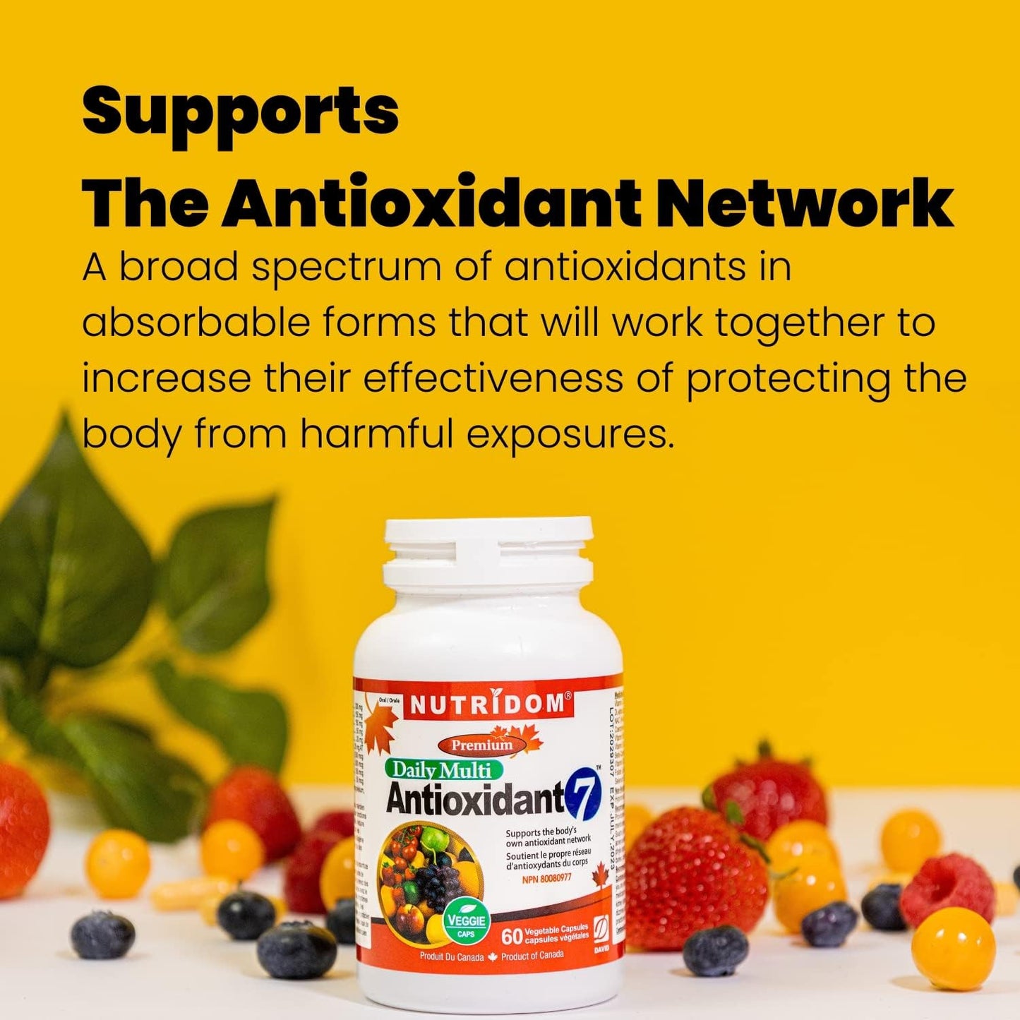 Nutridom Antioxidant-7 (60 Veggie Capsules), Featuring CoQ10, Alpha Lipoic Acid, NAC, Methyl-Vitamin B12, Methyl-Folate, Beta-Carotene, Vitamin C, Vitamin B6, Vitamin E & Selenium