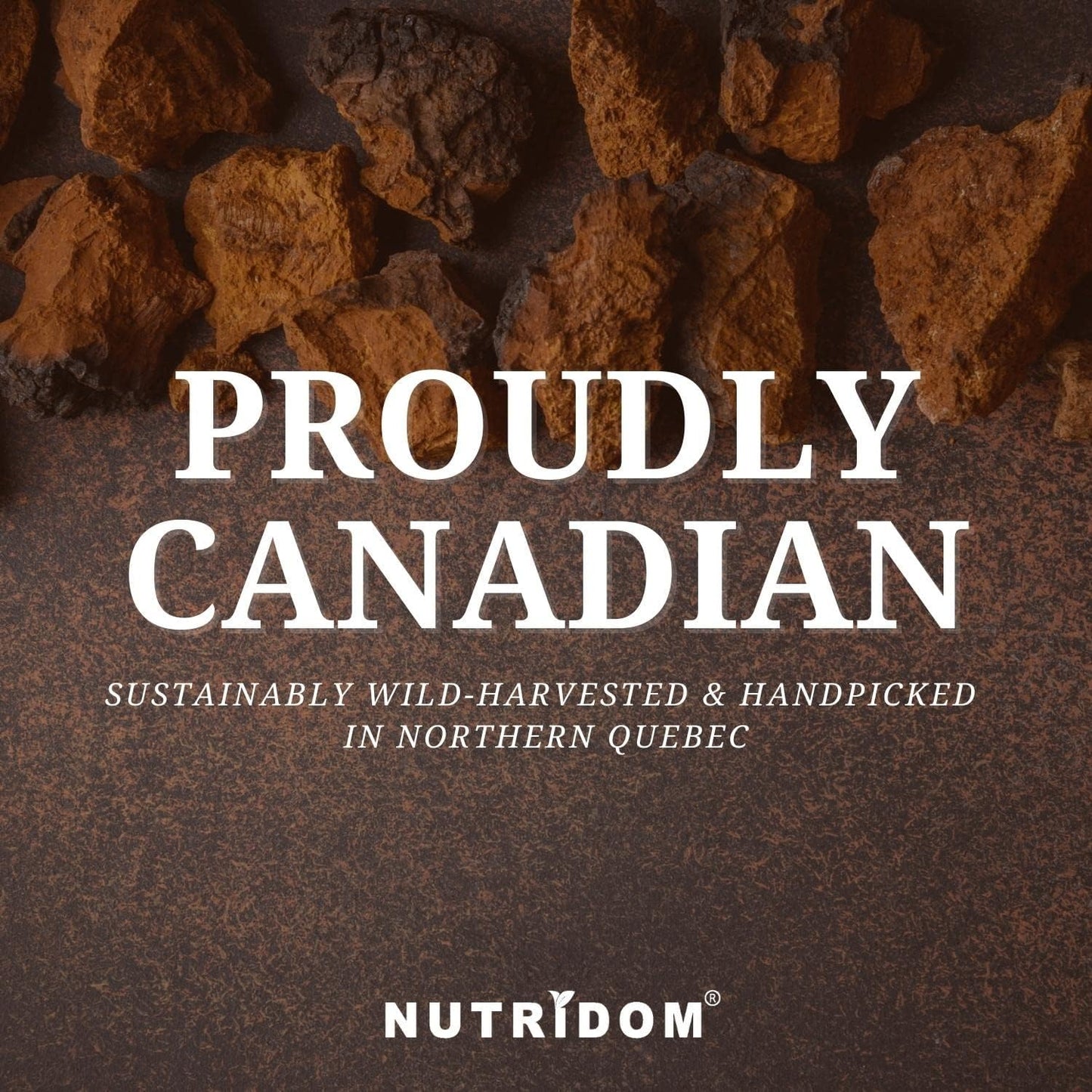 Nutridom Canadian Chaga Mushroom 360mg (120 Veggie Capsules)