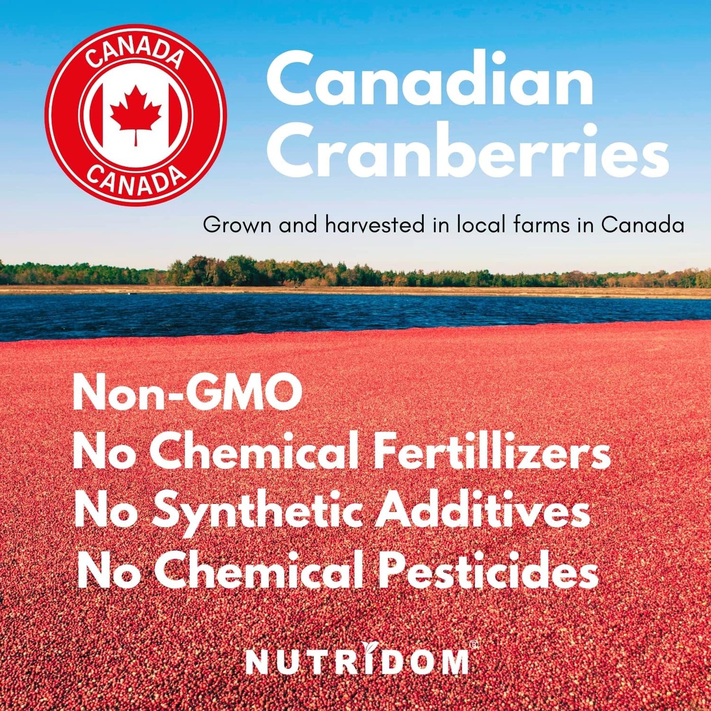 Nutridom Canadian Cranberry 500mg (12,500mg QCE) (120 Veggie Capsules)