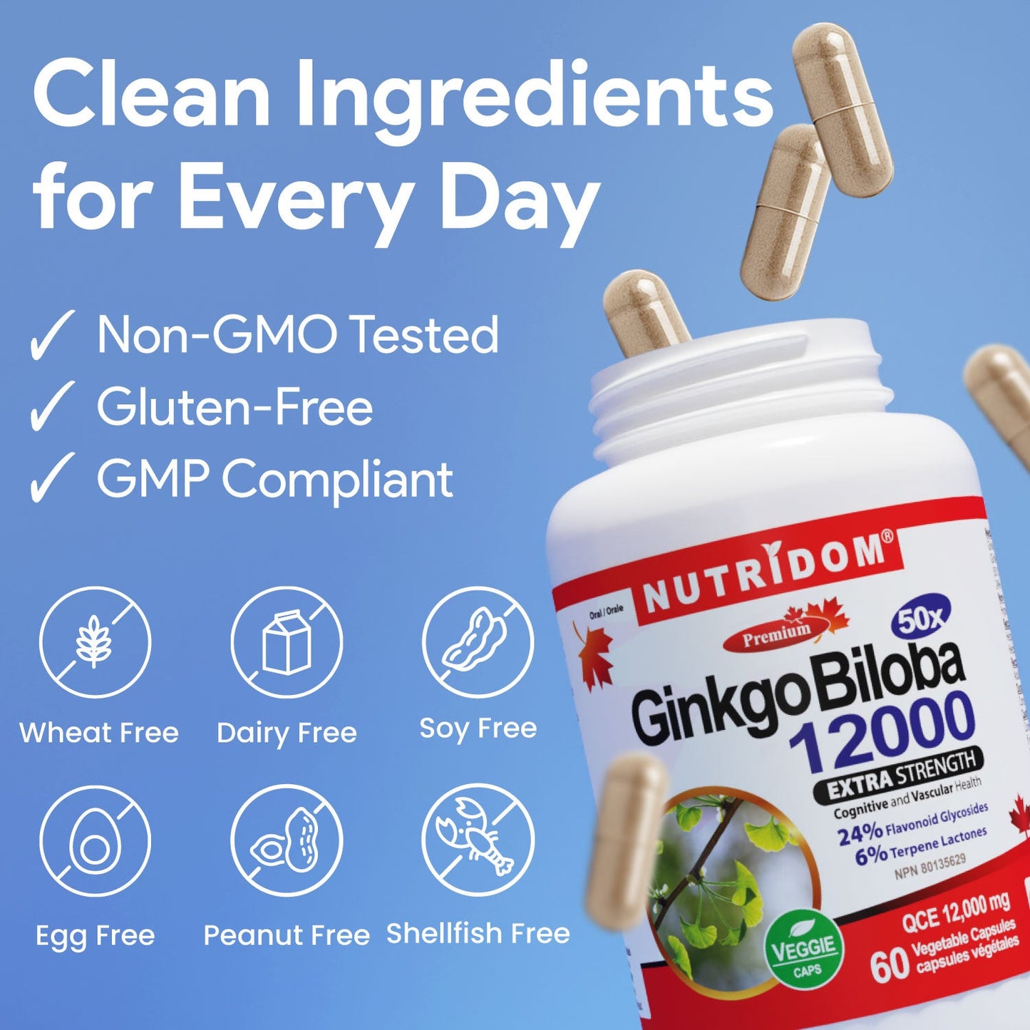 Nutridom Ginkgo Biloba 12000