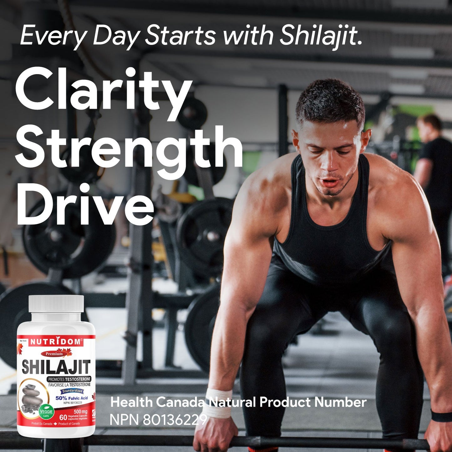 Nutridom Shilajit 500mg