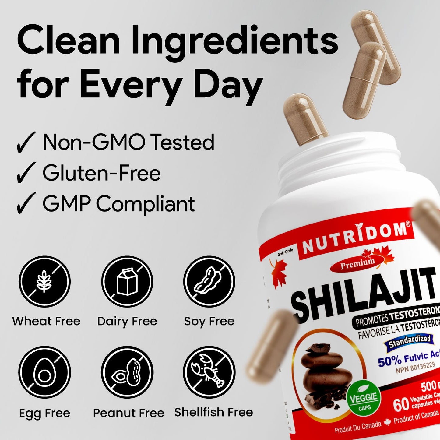 Nutridom Shilajit 500mg