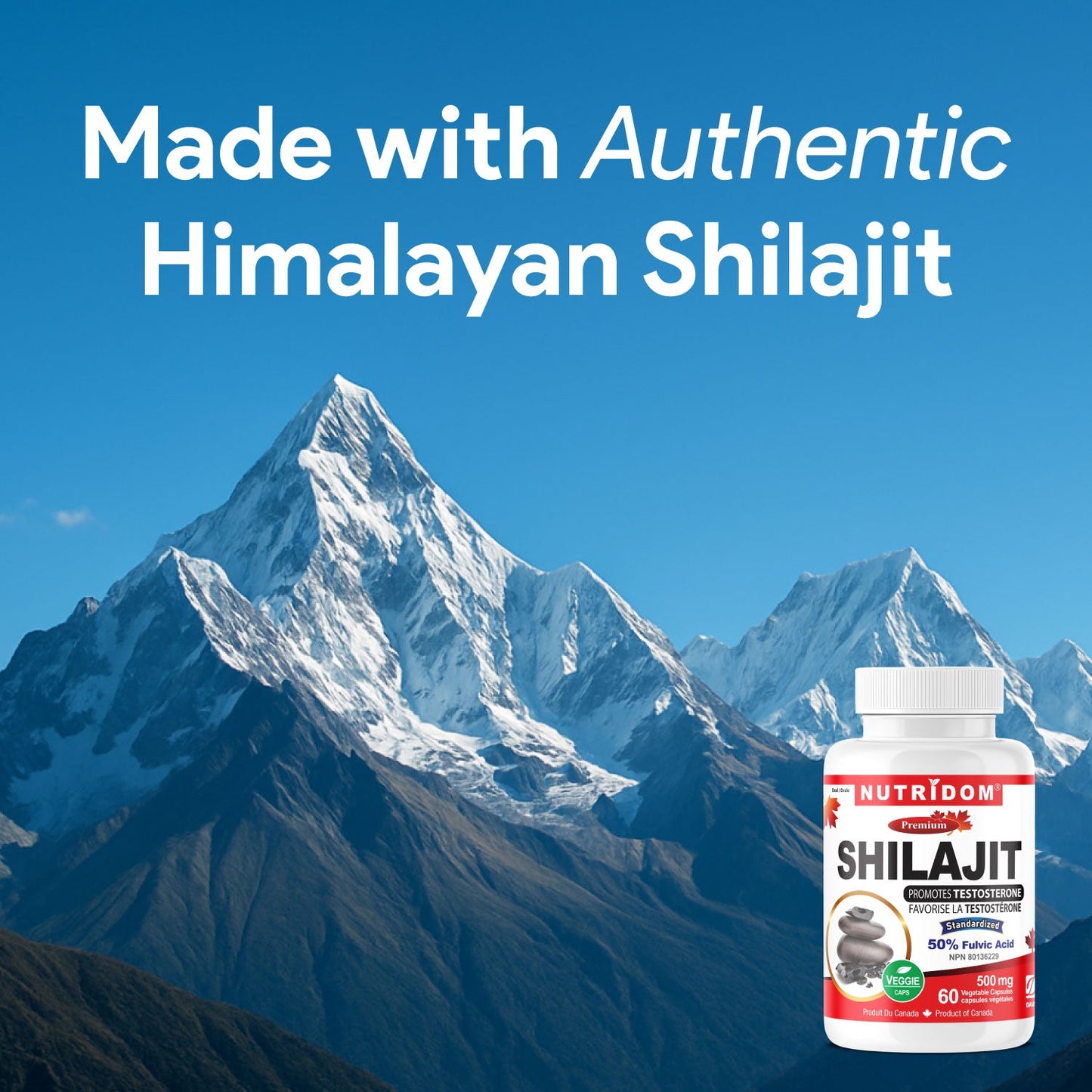 Nutridom Shilajit 500mg