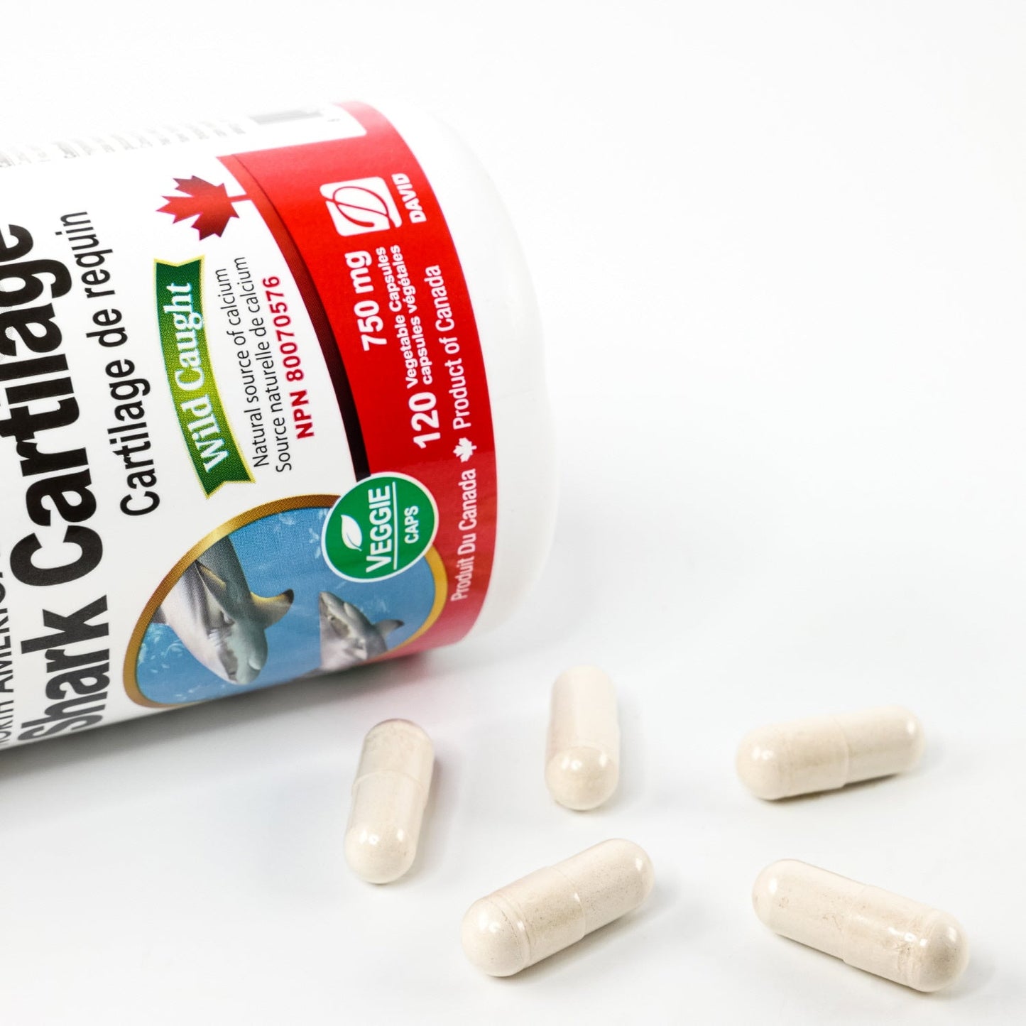 Nutridom North-American Shark Cartilage 750mg (120 Veggie Capsules)