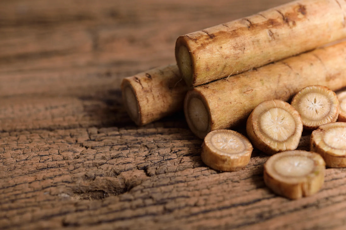Burdock Root: Discovering the Health Benefits of a Powerful Plant