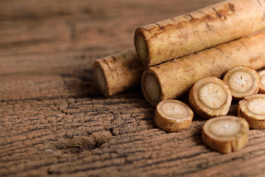 Burdock Root: Discovering the Health Benefits of a Powerful Plant