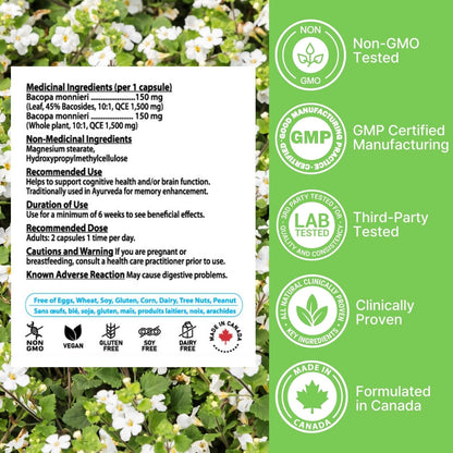 Nutridom Bacopa Monnieri 10x Extract, 300mg (3,000mg QCE)(60 Veggie Capsules)