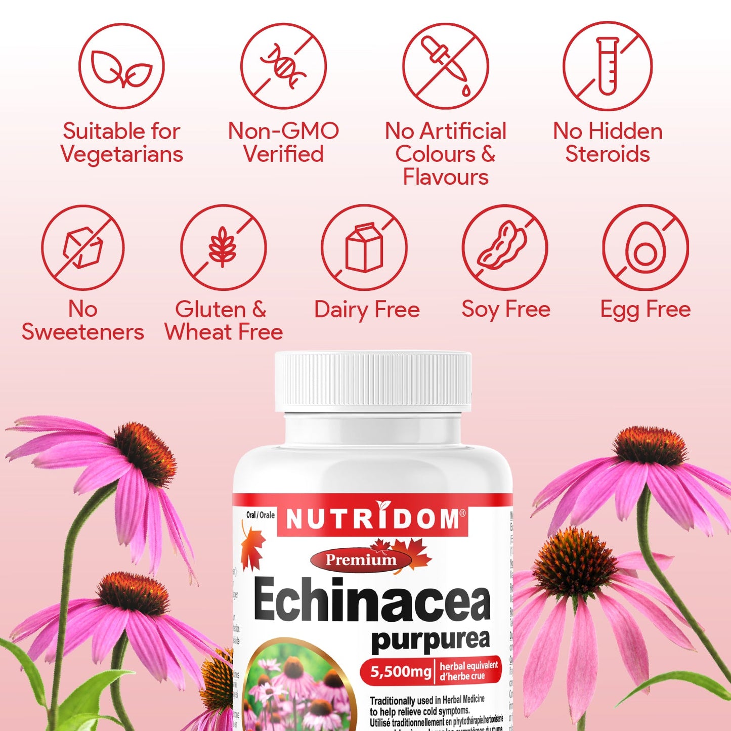 Nutridom Echinacea Purpurea 550mg (5,500mg QCE)(60 Veggie Capsules)