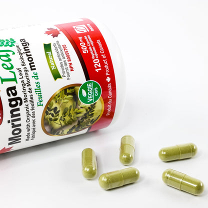 Nutridom Organic Moringa Oleifera Leaf 500mg (120 Veggie Capsules)